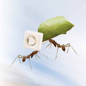 Mighty Mini Axial Fans DC