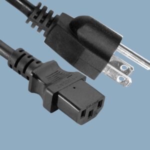 PC22/40 - NEMA 5-15P to IEC C13